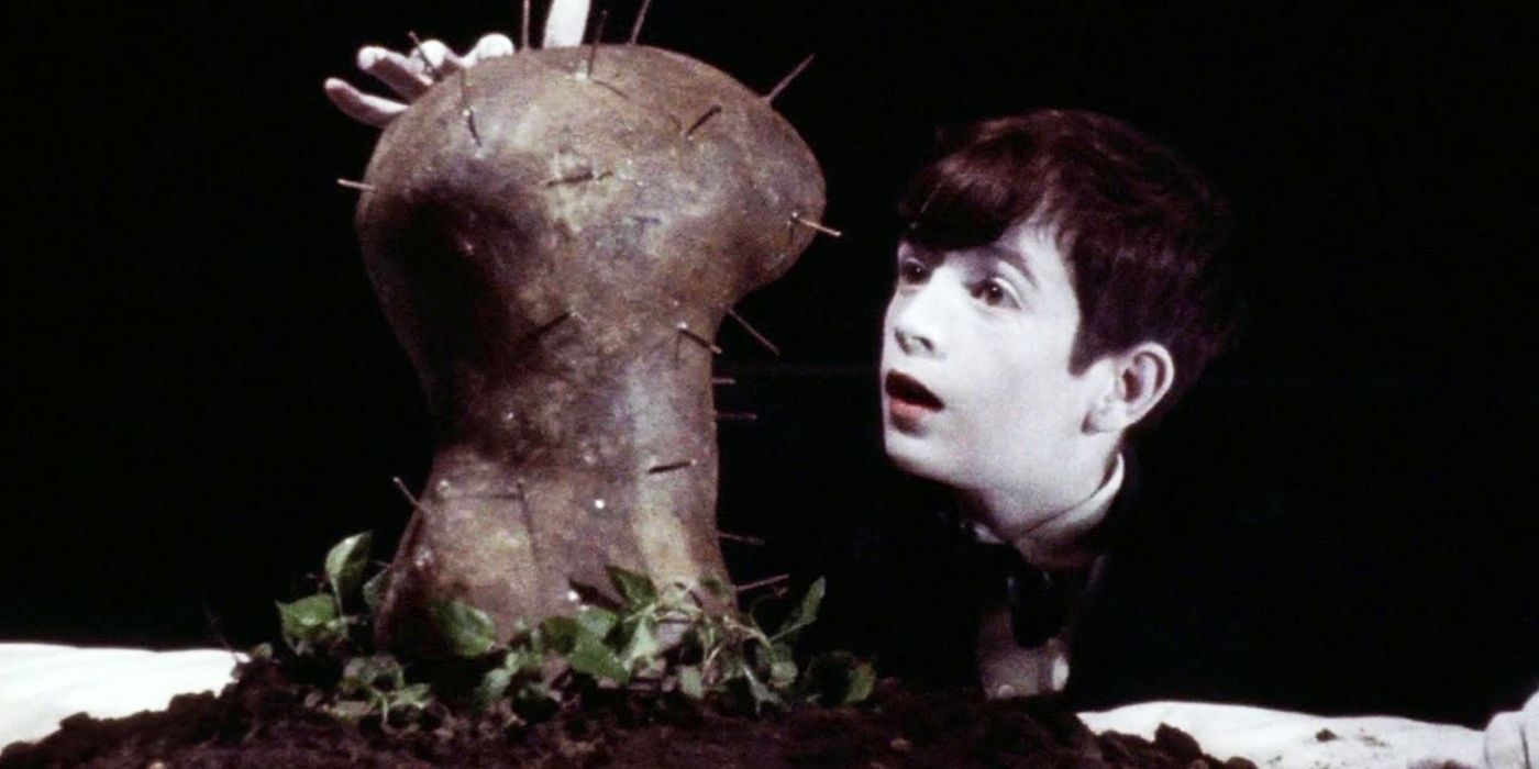 The Grandmother short film David Lynch