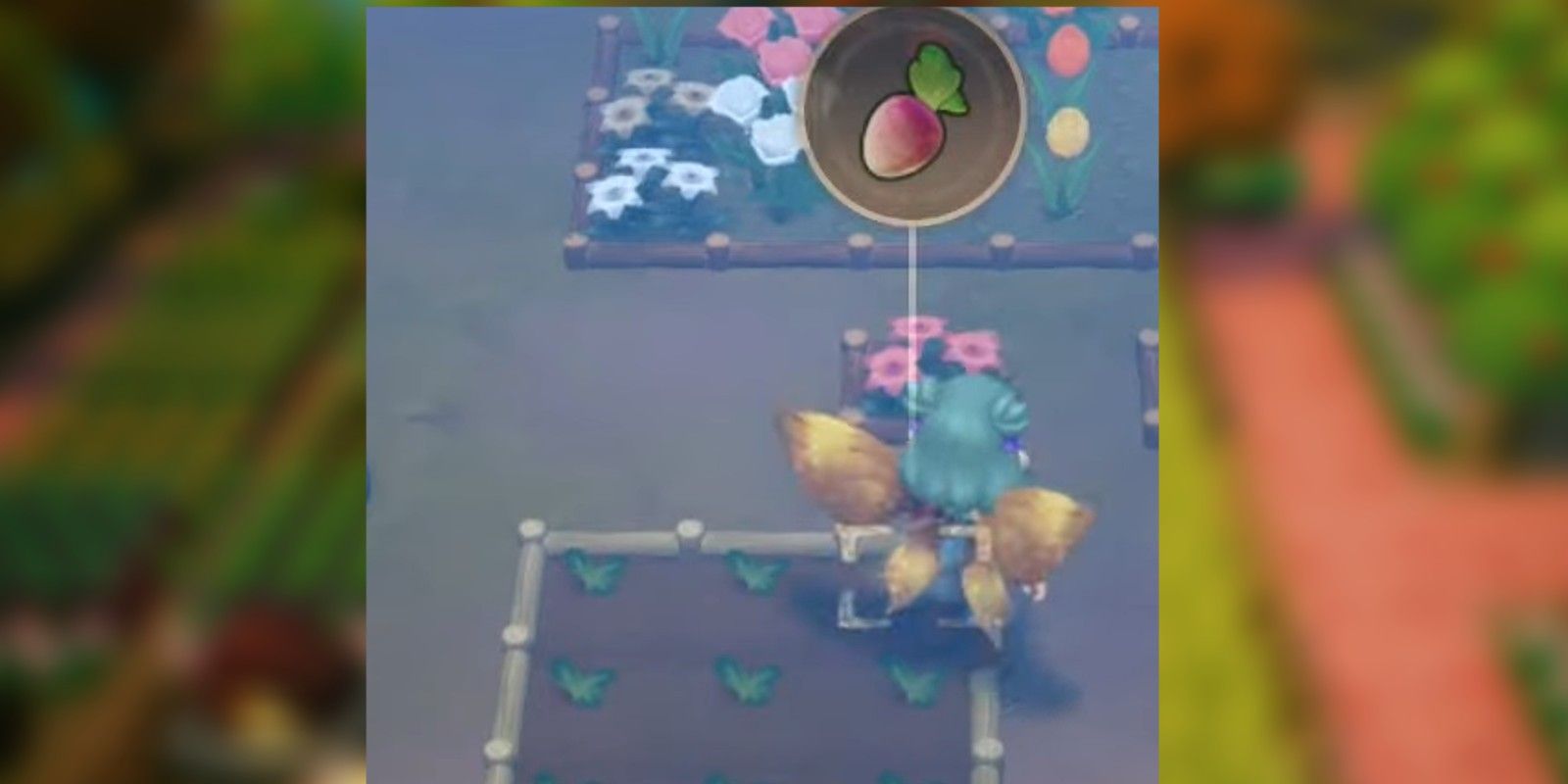 Turnip crop in Fae Farm