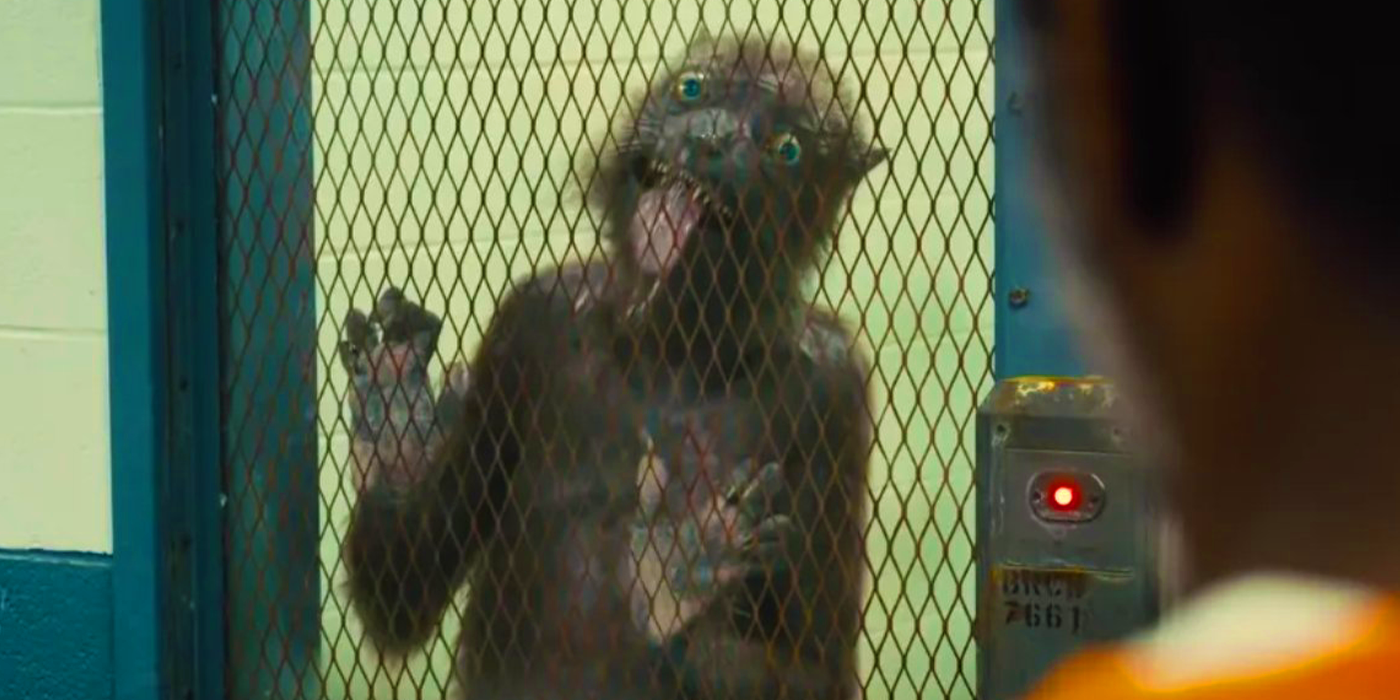 Weasel in The Suicide Squad