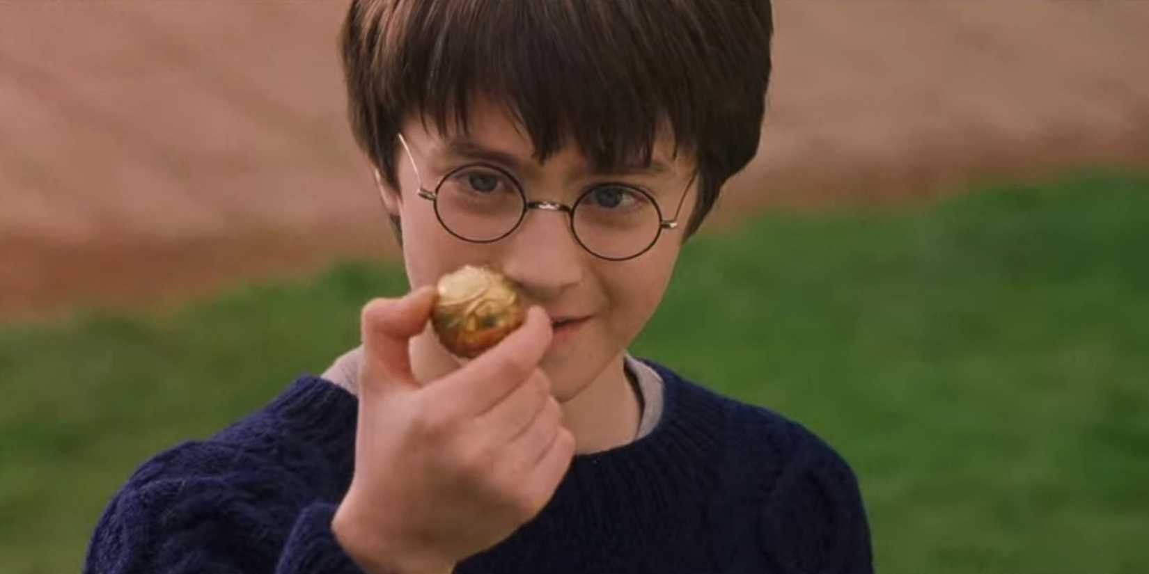 Harry Potter Director Was Bothered By 1 Scene & Wanted To Fix It But An Exec Wouldn't Allow Him