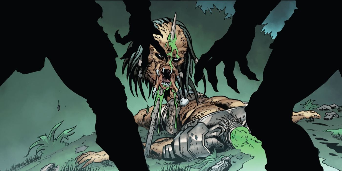 Predator finding the corpse of one of their own.