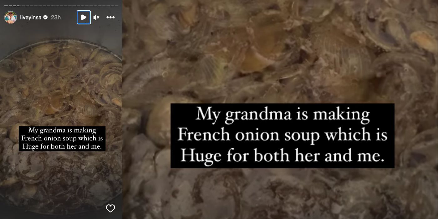90 Day Fiancé star Daniele Gates shares Instagram story about her grandma making french onion soup