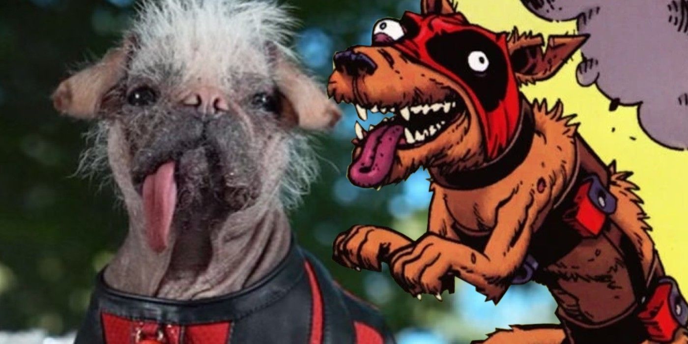 A split image of Dogpool from Deadpool 3 and Marvel Comics