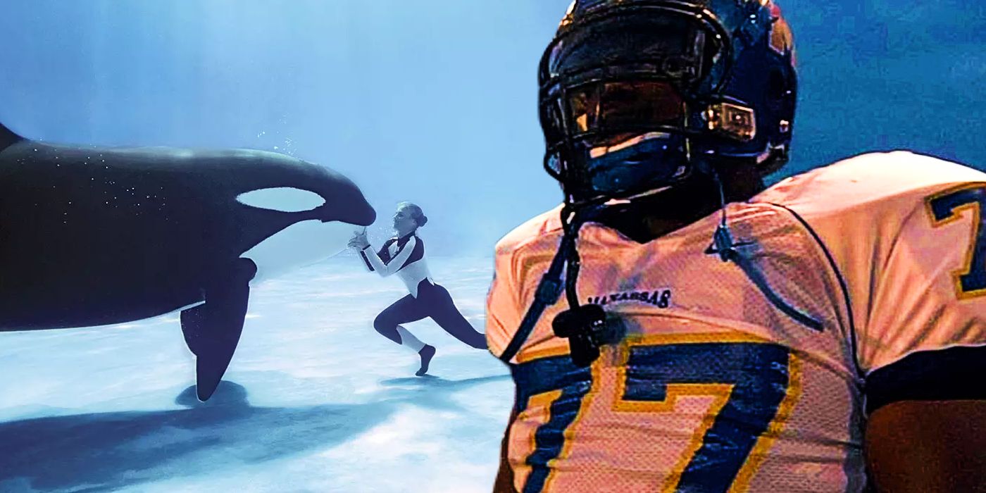 A still from Blackfish and a still from Undefeated