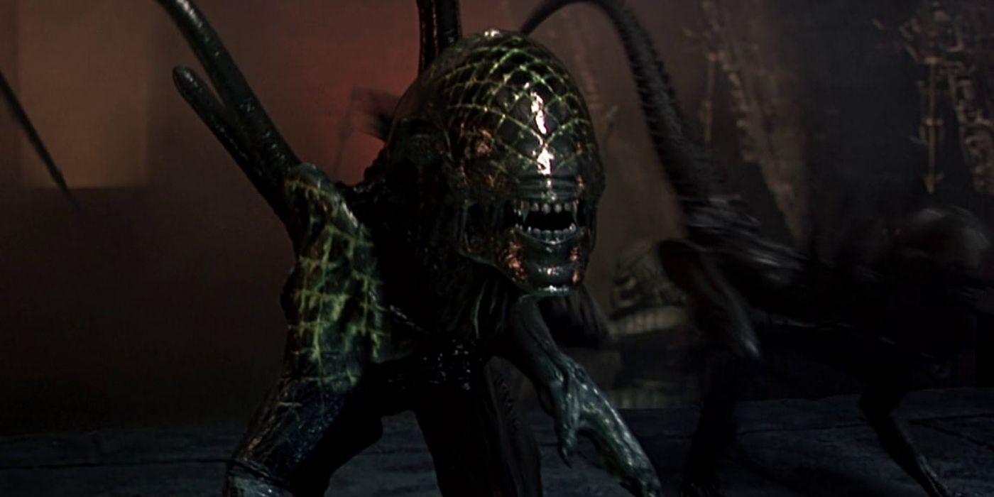 AvP's 'Grid Alien'. 