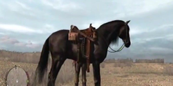 Red Dead Redemption 1: каждая лошадь в порядке от худшей к лучшей