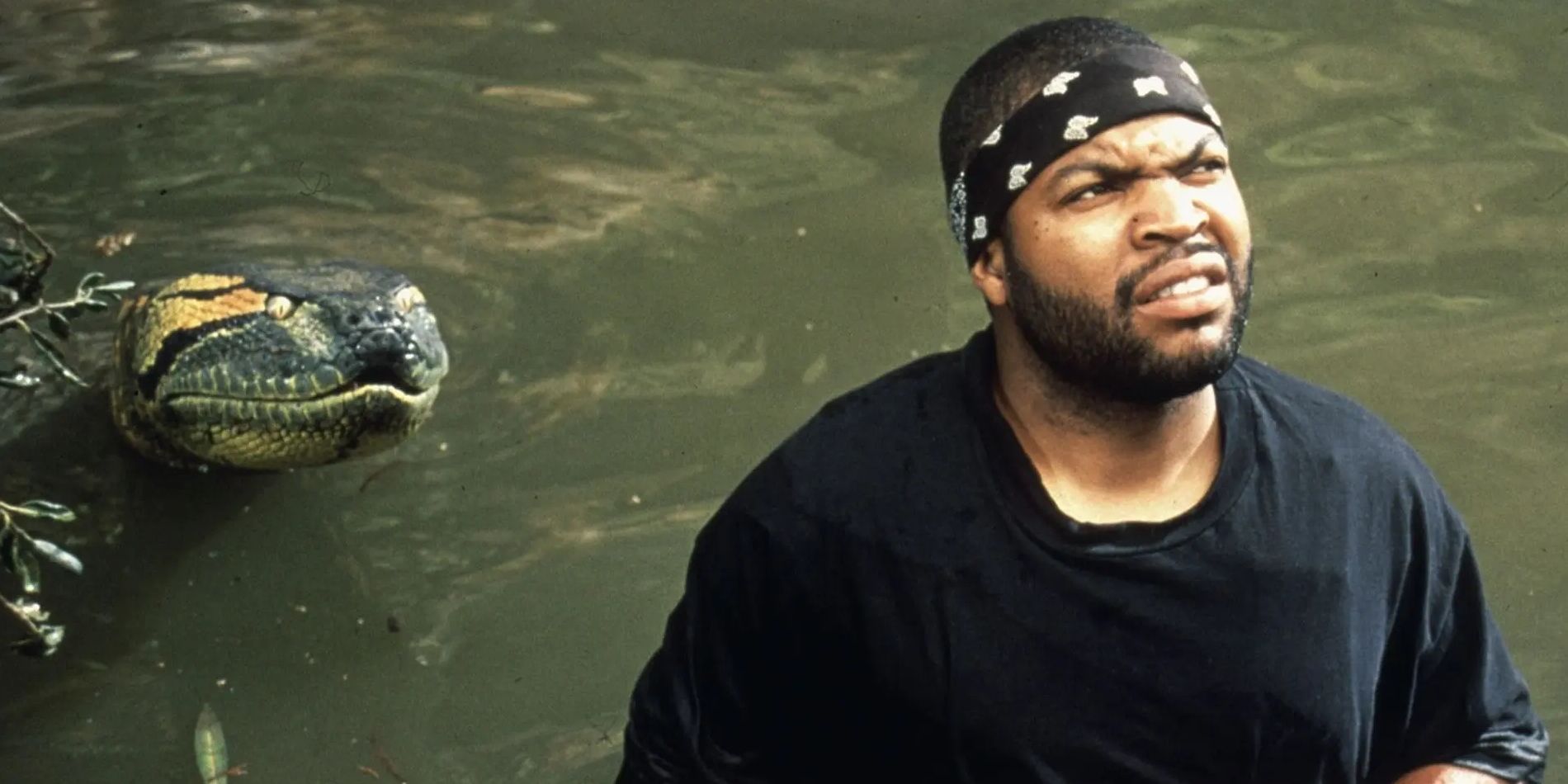 An anaconda sneaking up behind Ice Cube.