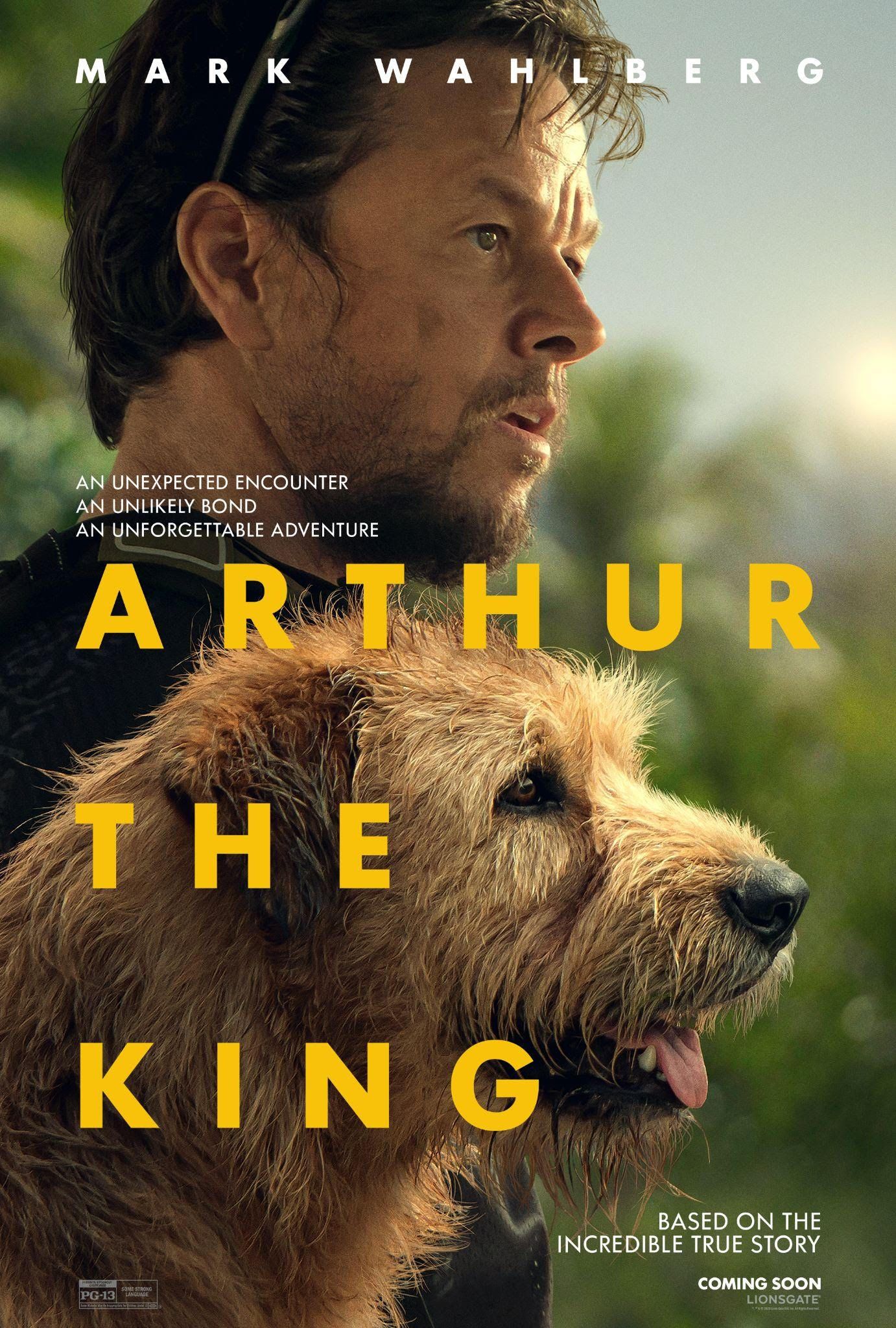 Pôster Arthur o Rei
