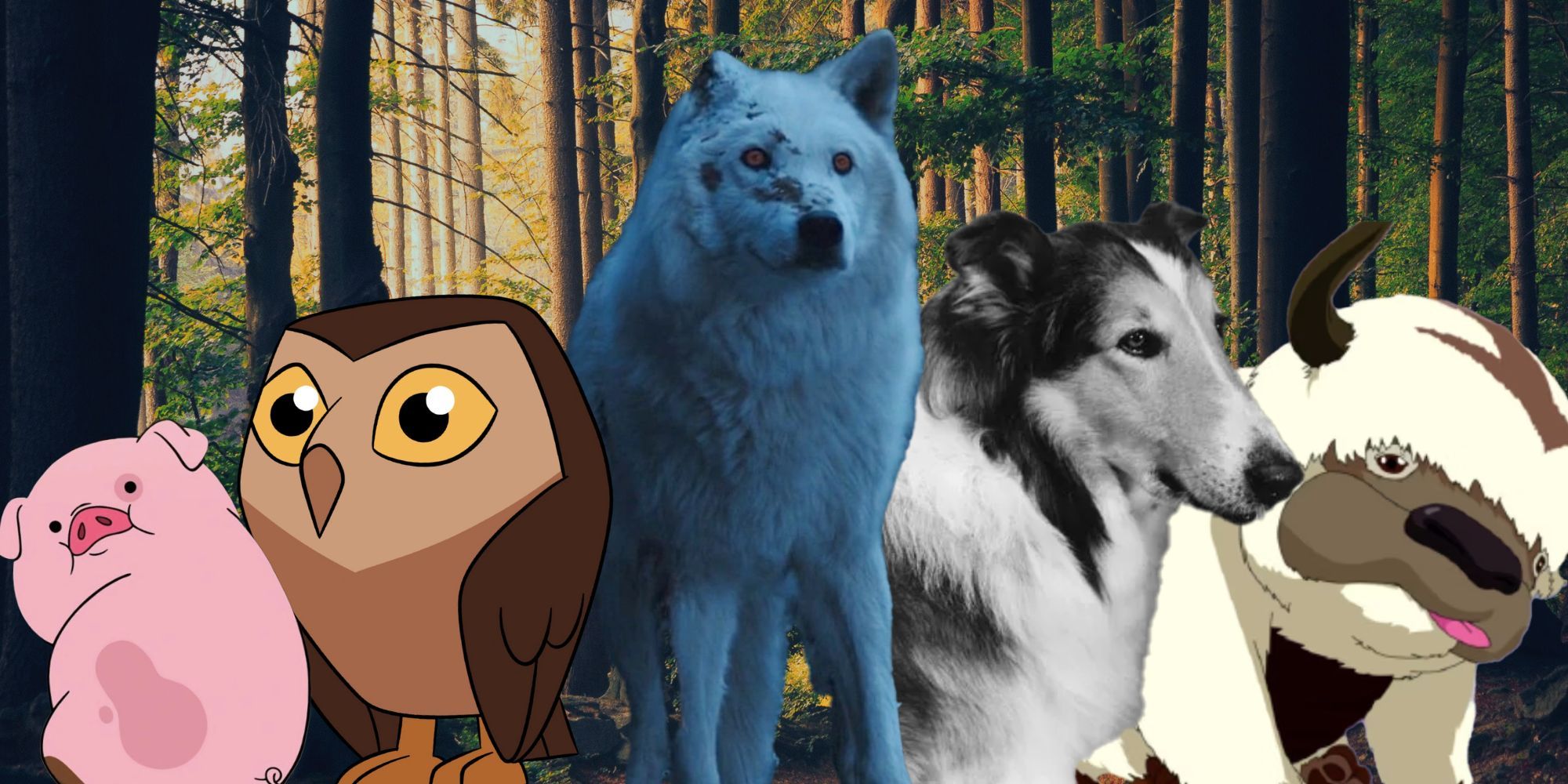 12 Best TV Animal Sidekicks, Ranked (Not Including Talking Animals)