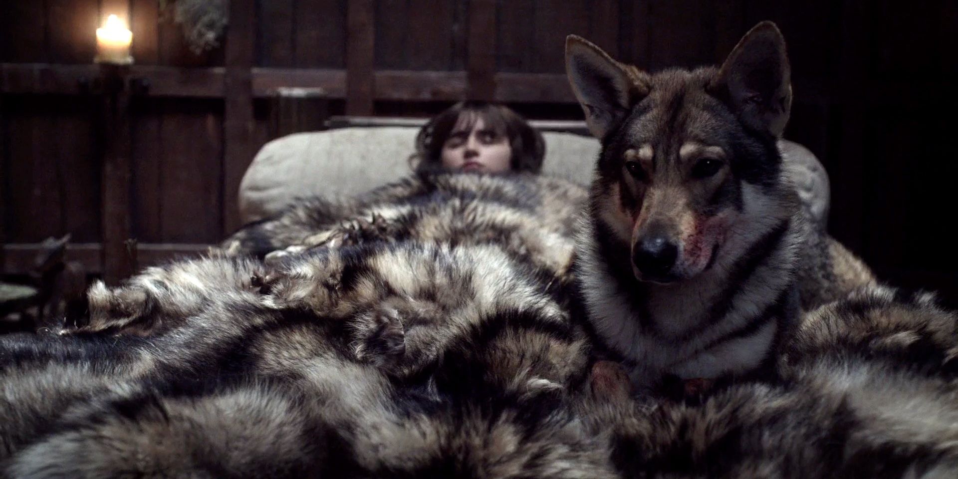 Game Of Thrones Ending: The Fates Of All Stark Direwolves Explained