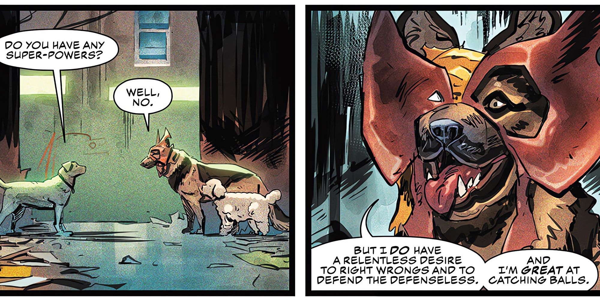 D-Dog is great at catching balls