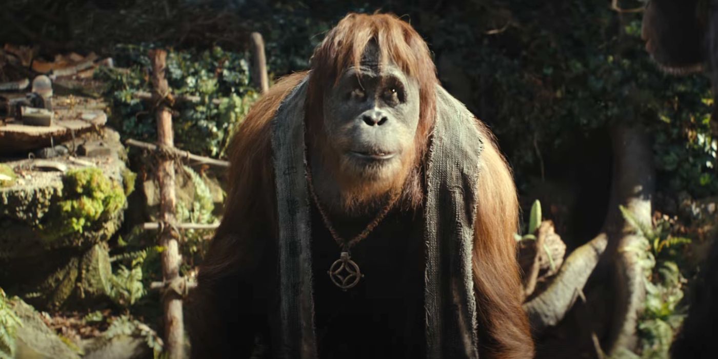 Doctor Zaius in Kingdom of the Planet of the Apes
