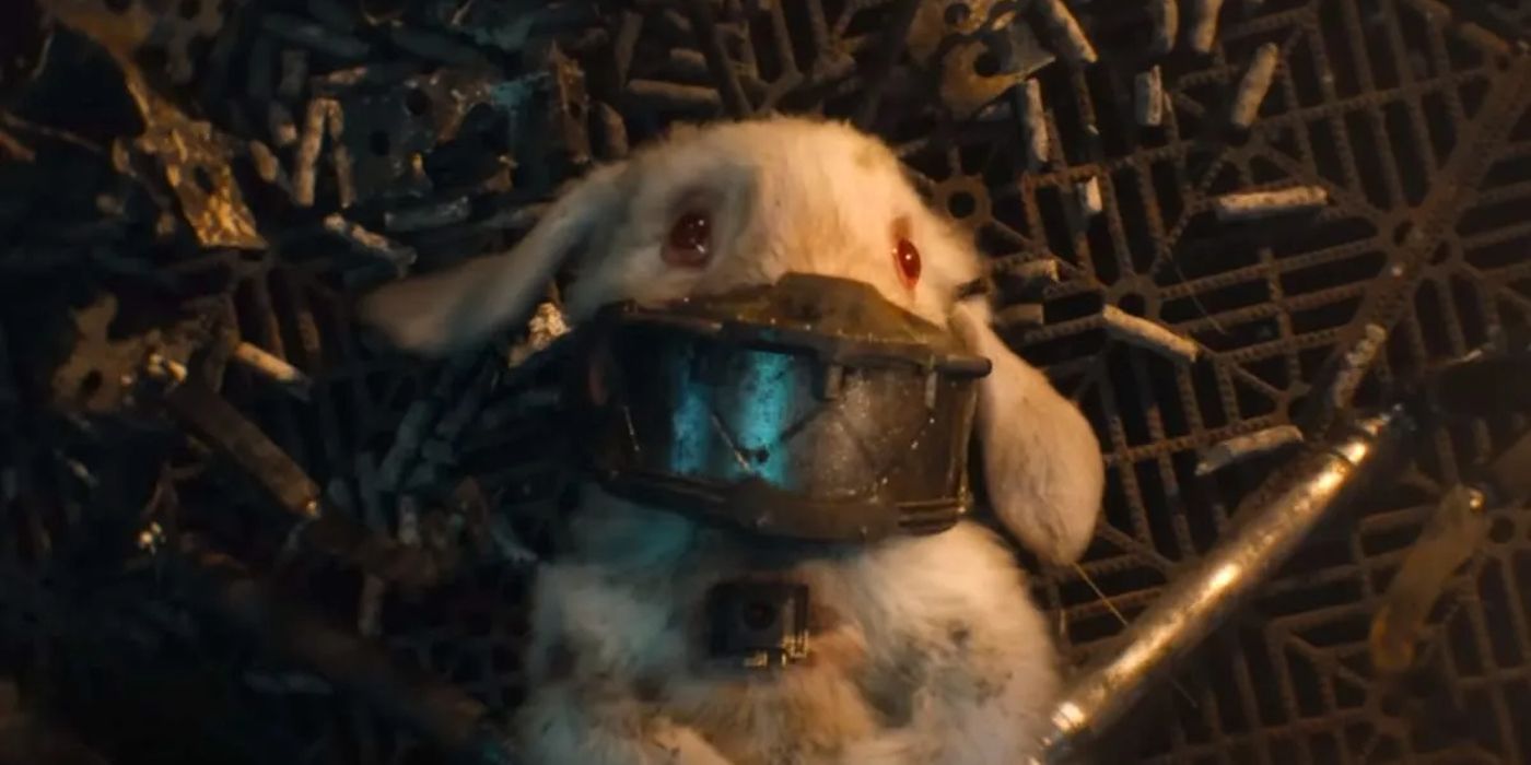 Floor the Rabbit in Guardians of the Galaxy Vol. 3 (2023)