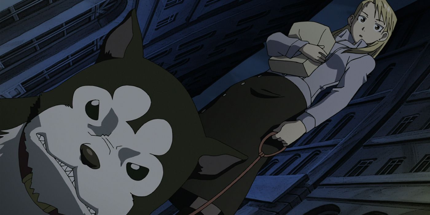 Fullmetal Alchemist: Black Hayate growls at a threat.