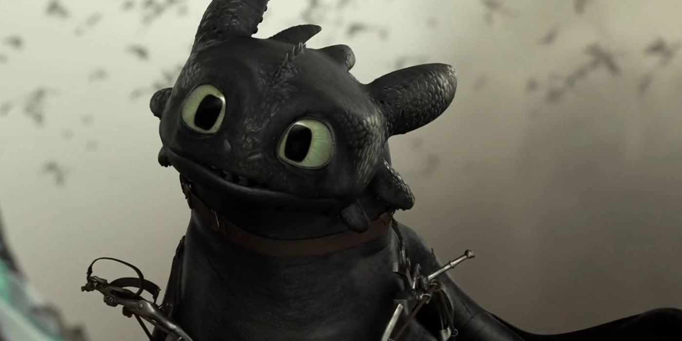 Toothless looking confused in How to Train Your Dragon.