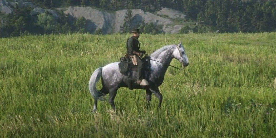 Red Dead Redemption 1: каждая лошадь в порядке от худшей к лучшей