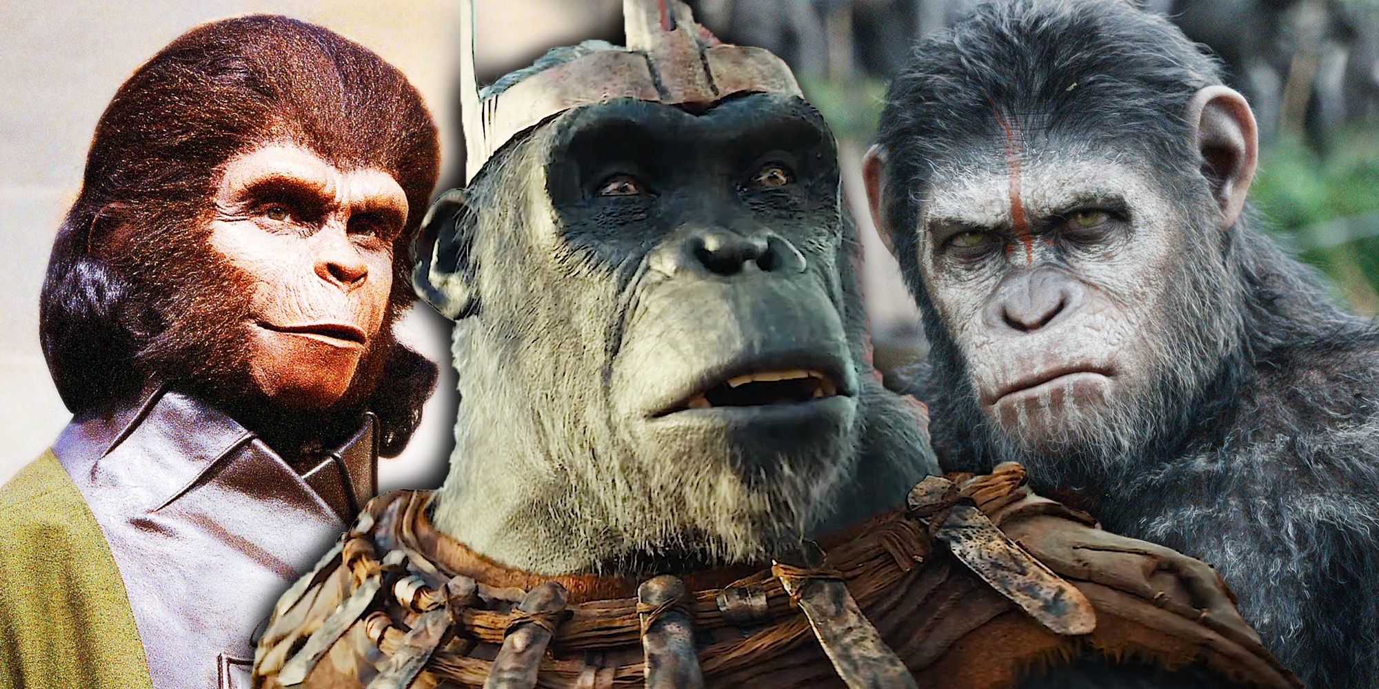 Kingdom Of The Of The Apes Comes To Life As HorsebackRiding