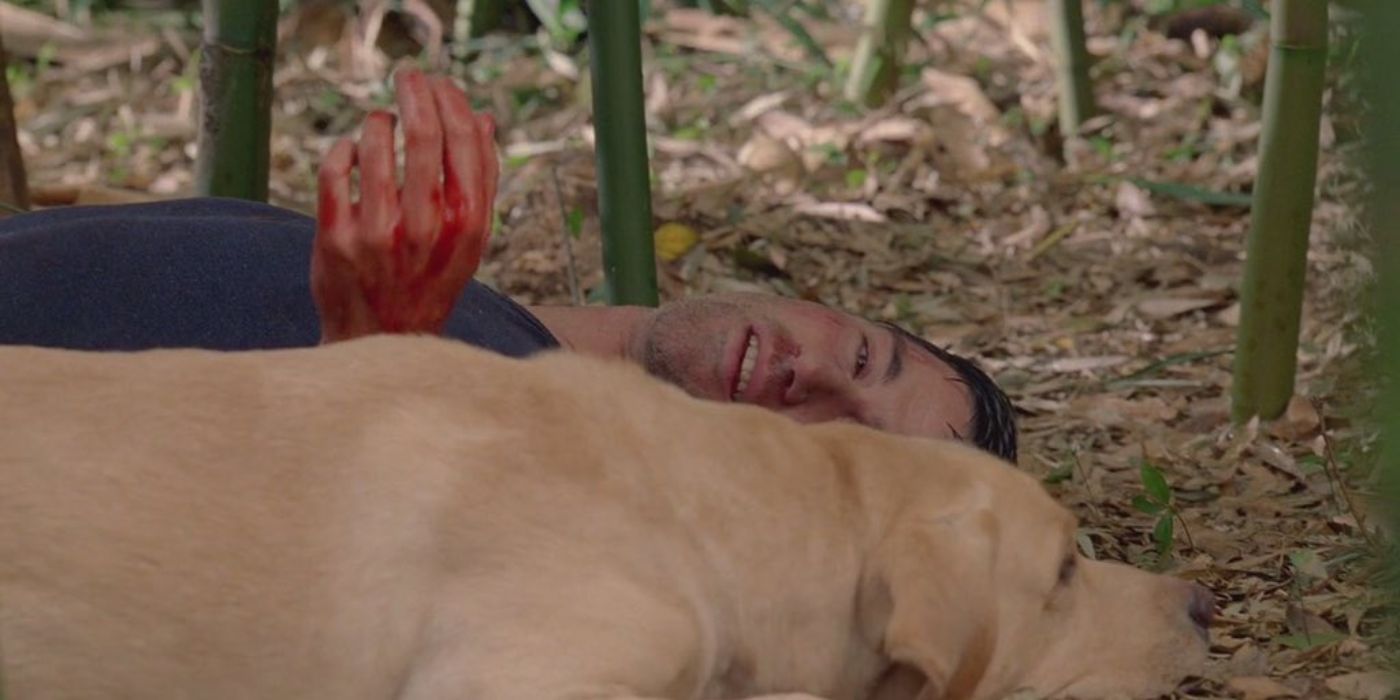 Jack dying next to Vincent in Lost