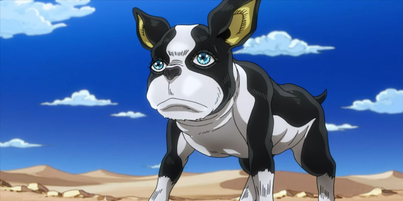 JoJo's Bizarre Adventure: Stardust Crusaders Iggy.