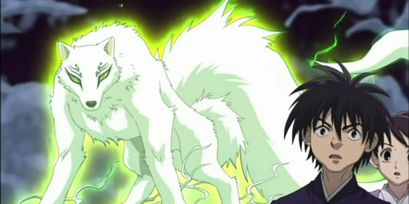 Kekkaishi: The dog demon Madarao