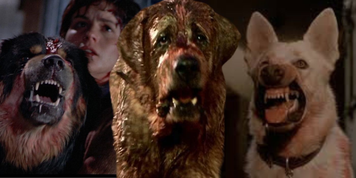 Man's Best Friend, Cugo, and White Dog in Killer dog movies.