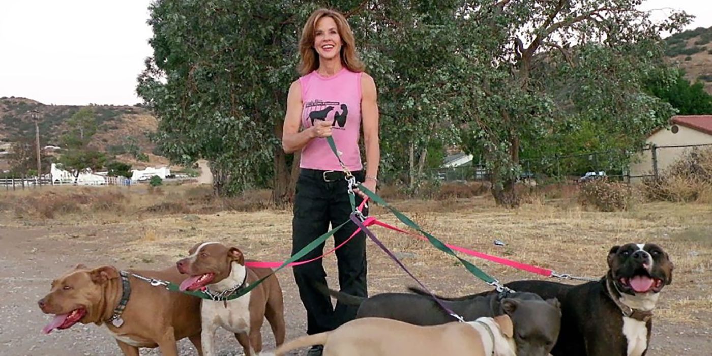 Linda Blair with various pit bulls for Worldheart Foundation photo shoot