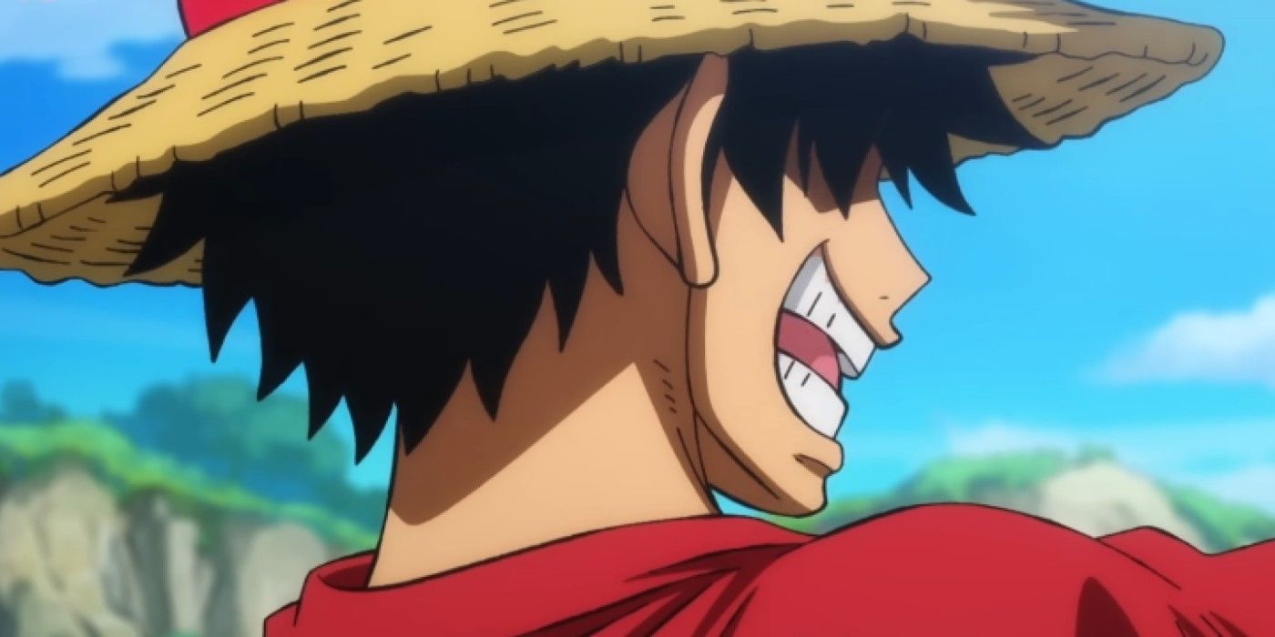 Luffy has his straw hat down and his back to the camera as he triumphantly smiles in One Piece