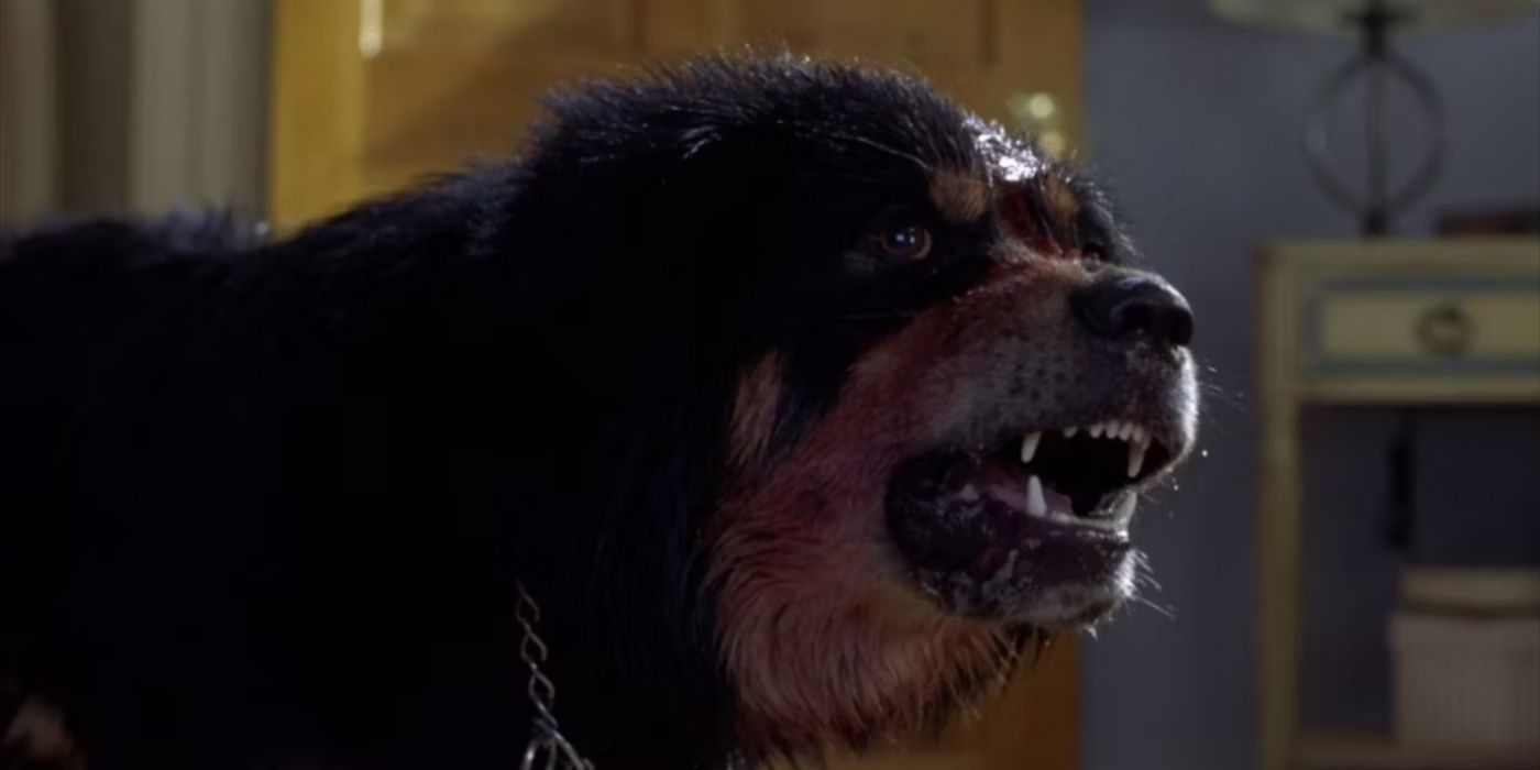 Max the dog in Man's Best Friend.