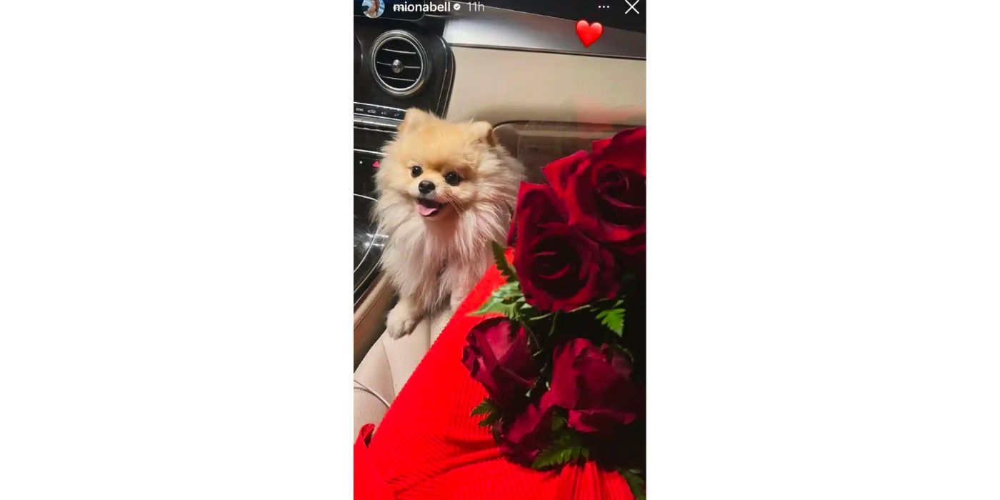 História do Instagram da estrela do 90 Day Fiance, Miona Bell, mostrando rosas vermelhas e seu cachorro