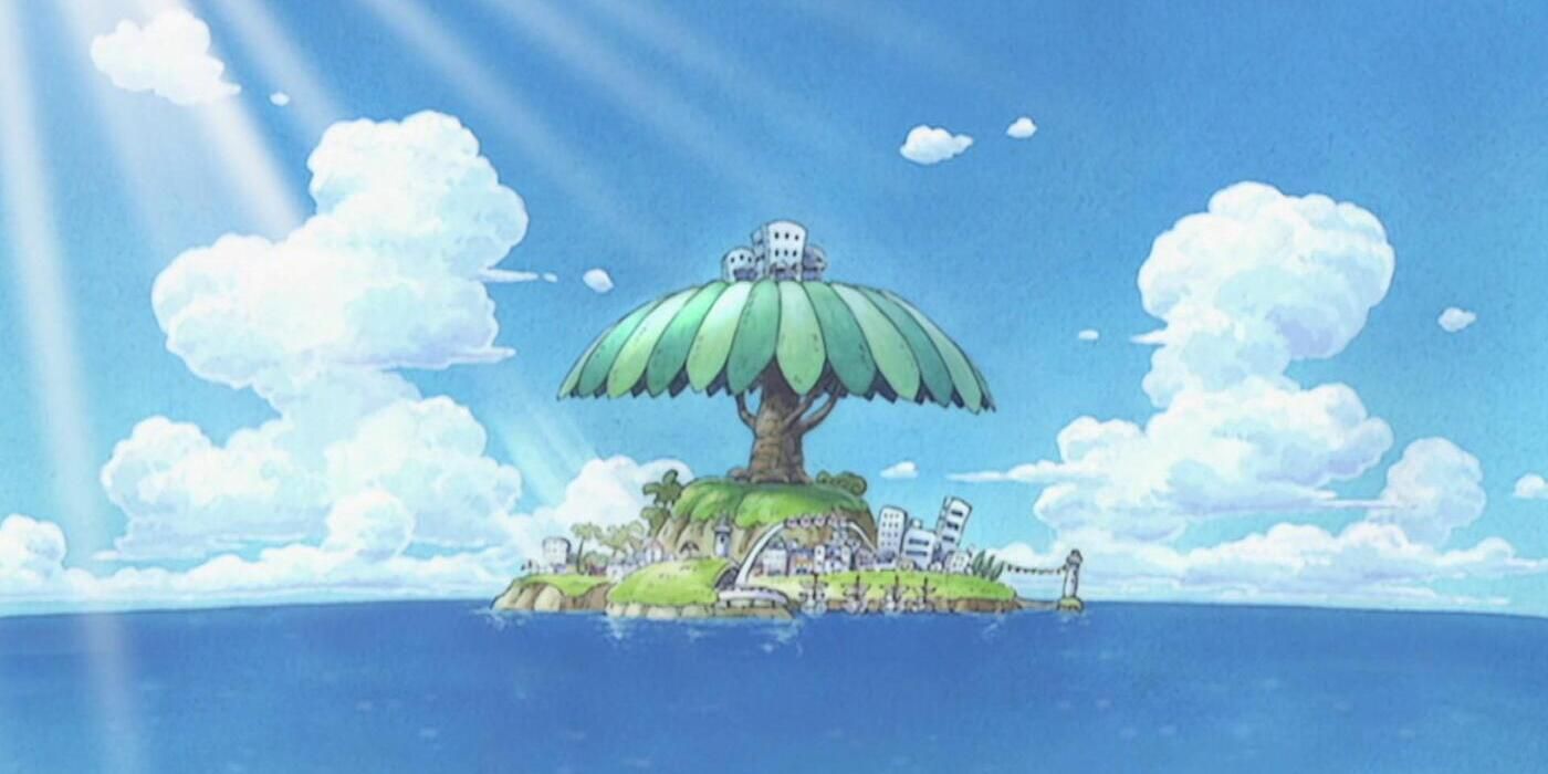 Little Garden Surrounded By Sea in One Piece Anime