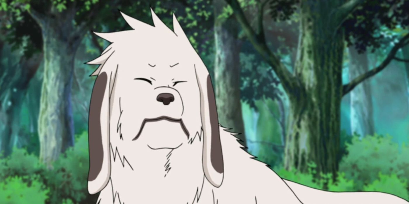 As seen in Naruto: Akamaru Shippuden.