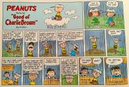 10 Classic 1970s Peanuts Comic Strips 10 Classic 1970s Peanuts Comic Strips