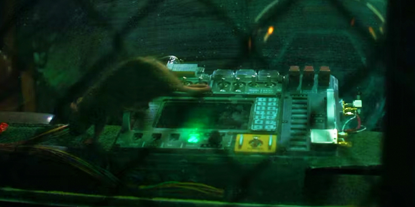 Rat walking across Quantum Tunnel controls in Avengers Endgame