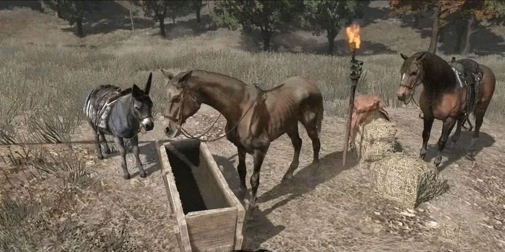 Red Dead Redemption Lusitano Nag drinking at a trough.
