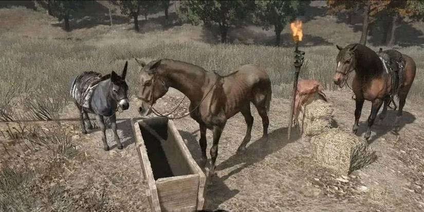 Red Dead Redemption 1: Every Horse, Ranked From Worst To Best