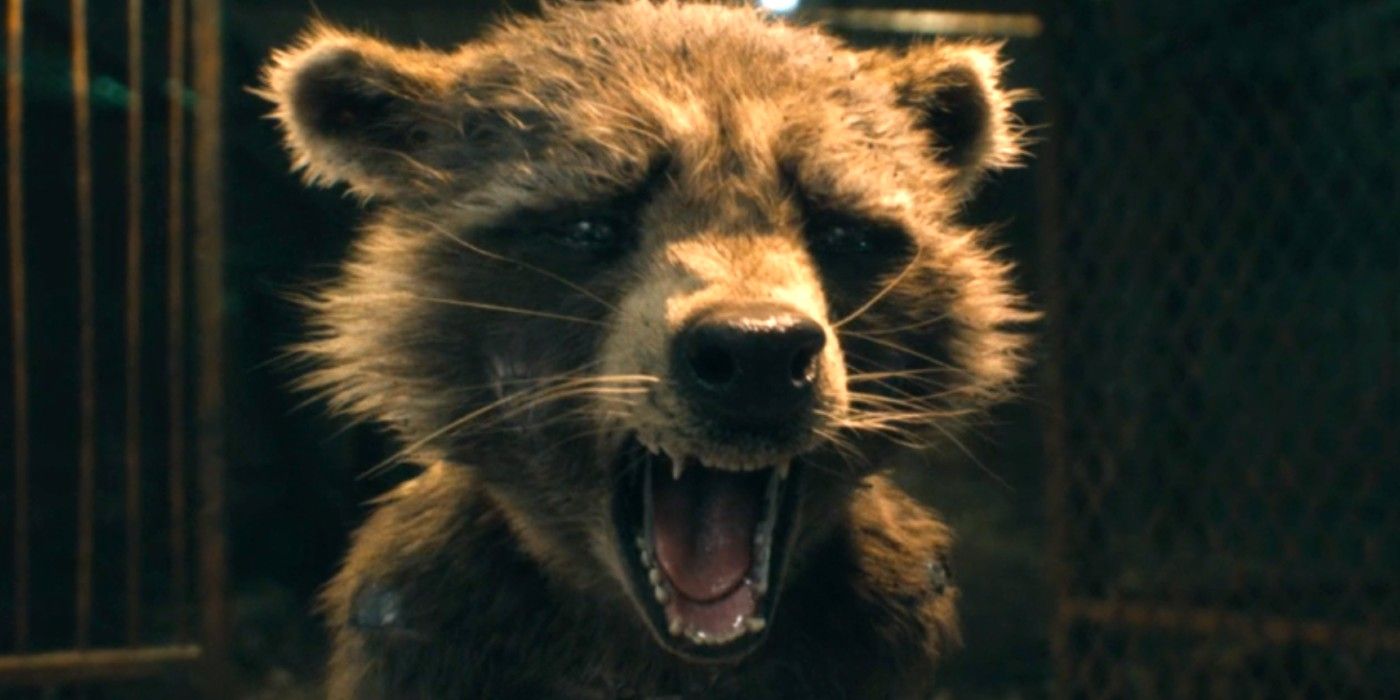 Rocket Raccoon cries in Guardians of the Galaxy Vol 3