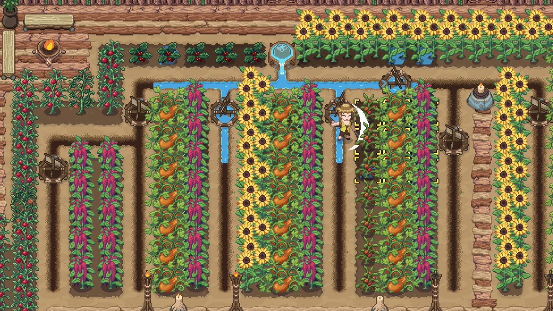 Roots of Pacha field of crops showing a player harvesting.