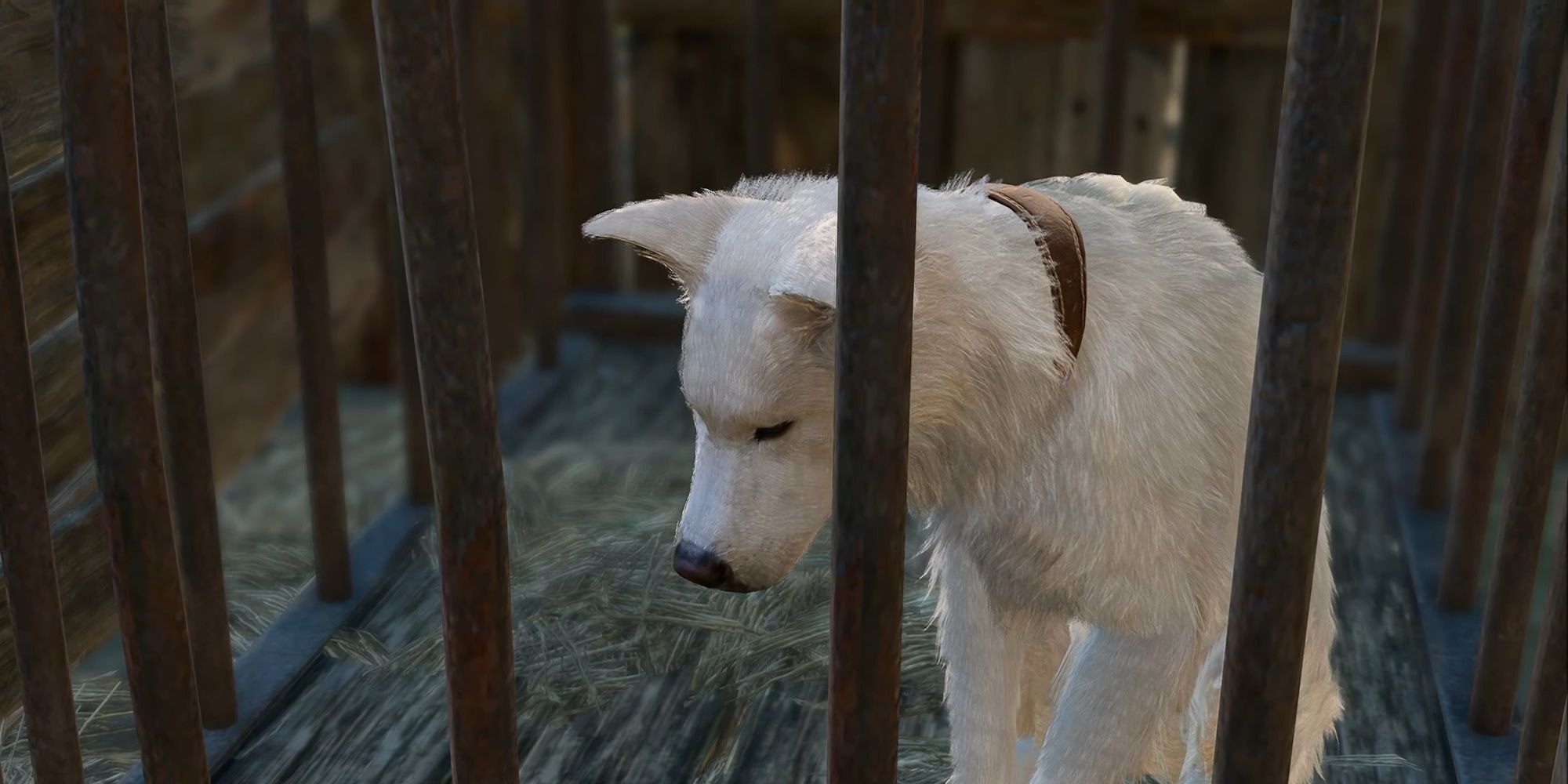 Scratch cowers in his cage in Baldur's Gate 3