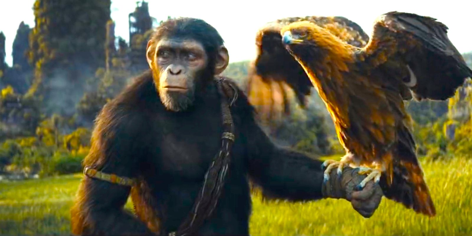 Who The Main Ape In Kingdom Of The Planet Of The Apes Is (& Who Plays Them)