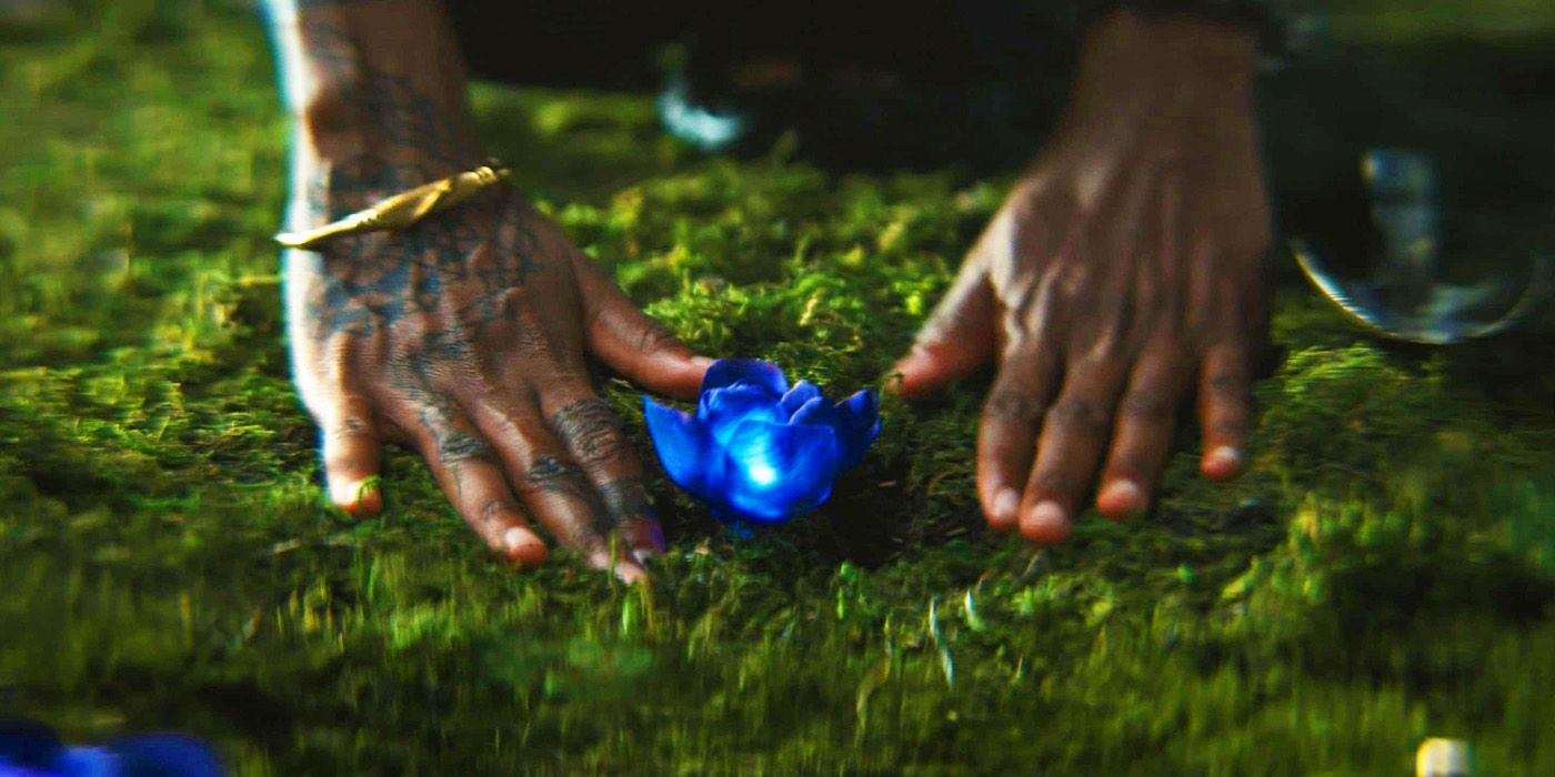 Shuri planting more of the heart-shaped herb in Black Panther Wakanda Forever