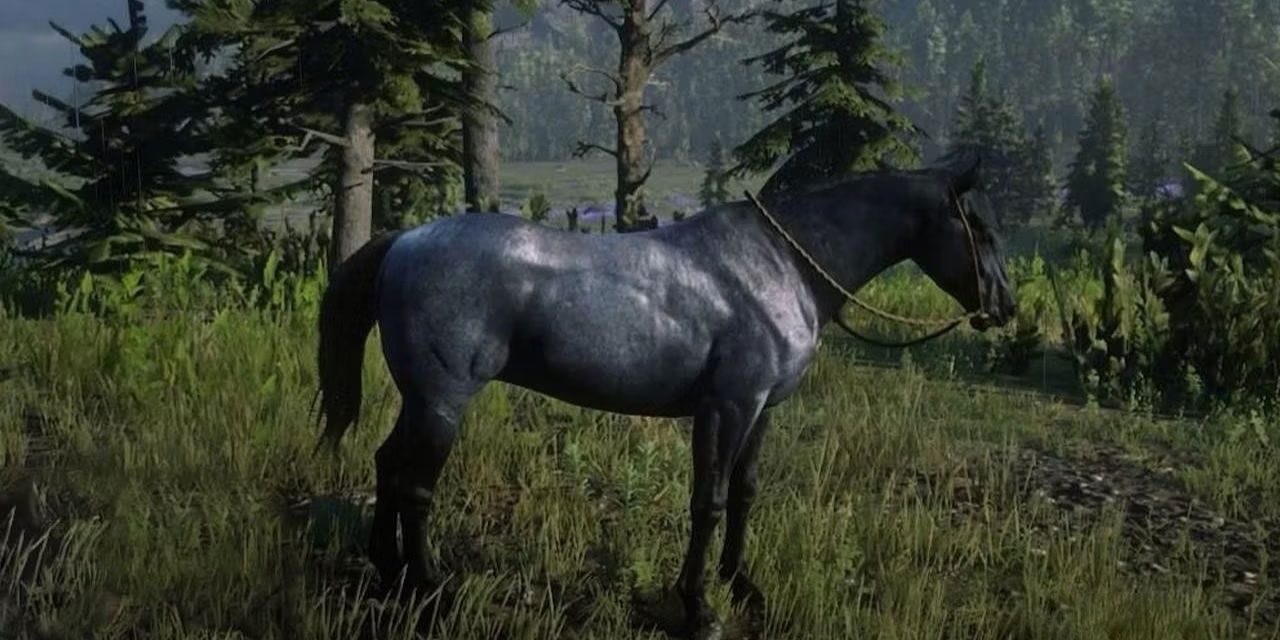 Tersk Horse in Red Dead Redemption 1.