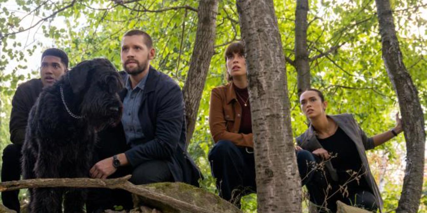 Andre, Luke, Jamie, and Cameron surrounded by trees looking at something of FBI International 