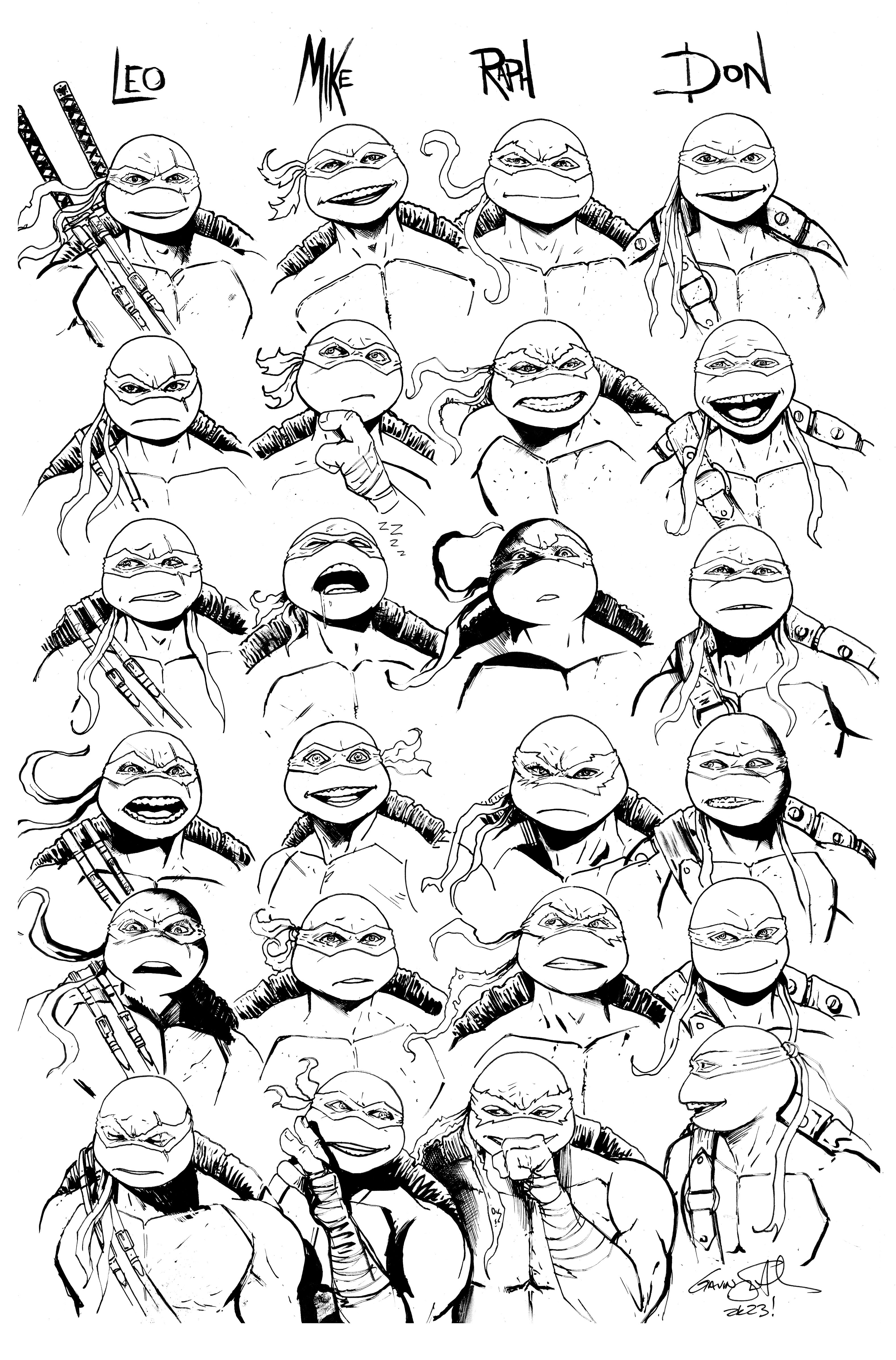 The Turtles all drawn with various emotions across their faces