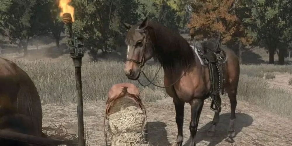 Turkmen Horse in RDR 1 behind a bail of hay. 