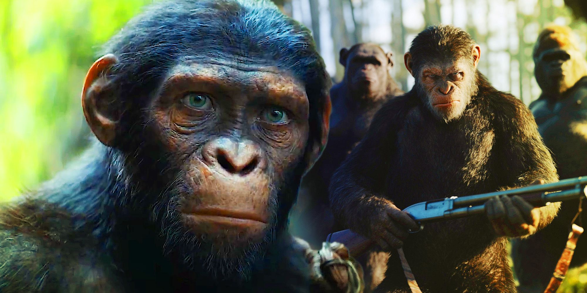 Kingdom of the Planet of the Apes Stars Talk Ape School & Finding Proximus Caesar’s Voice