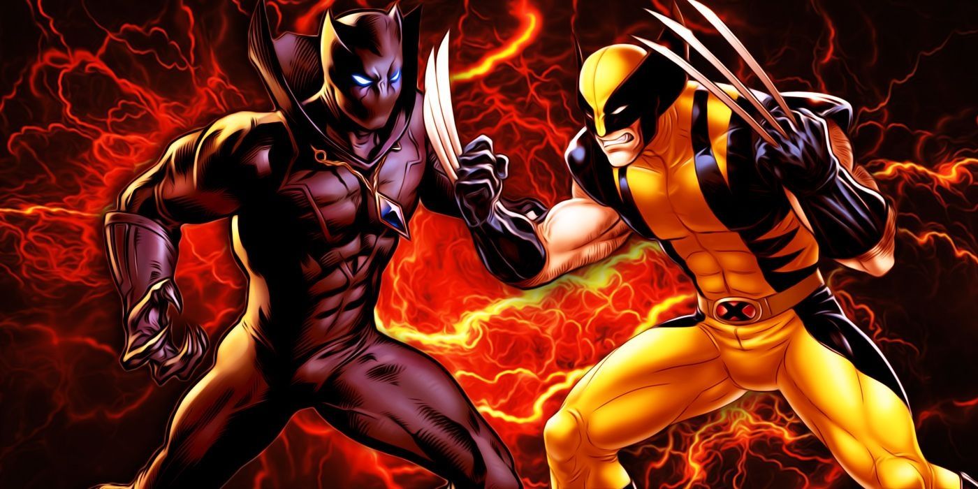 Wolverine vs Black Panther.