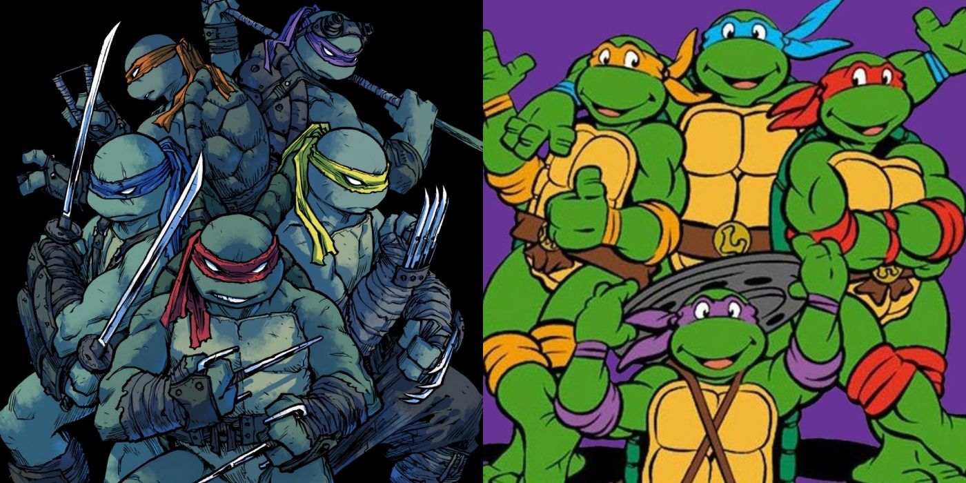 TMNT from IDW continuity & the '90s cartoon side-by-side.
