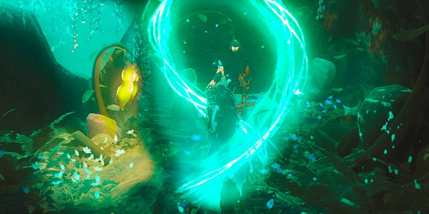 Zelda: TOTK Dark Forest from Walton's Treasure Hunt Quest to Complete for Rare Items