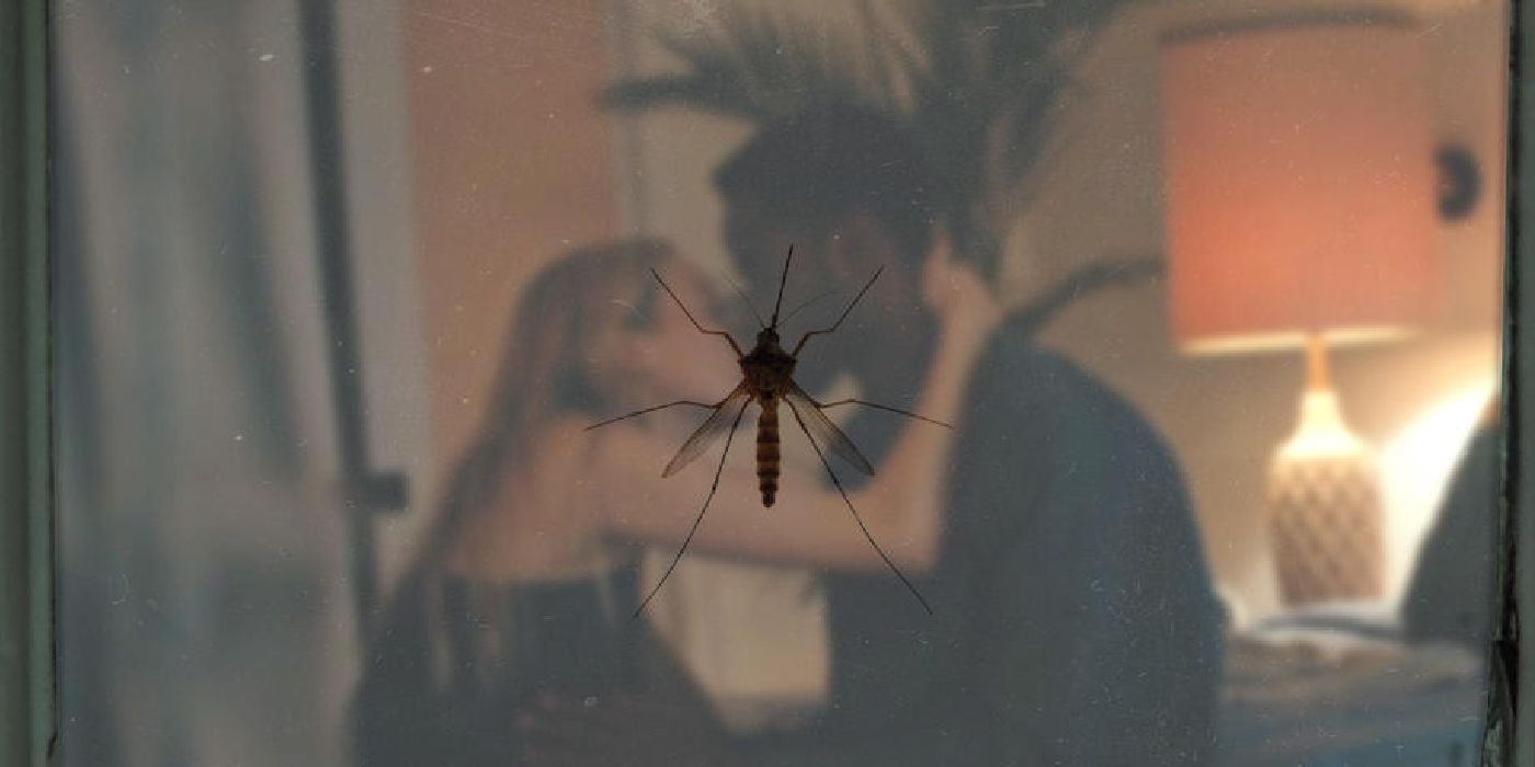 A mosquito on a screen with two people in the background kissing on the cover of Thirsty.