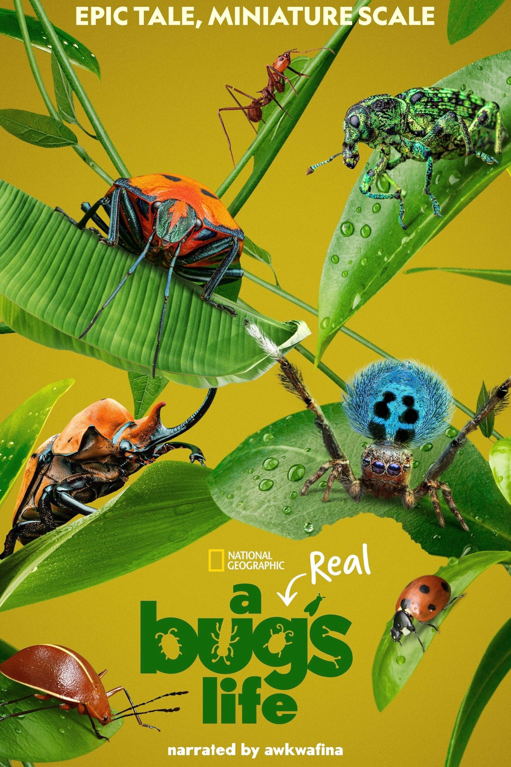 A Real Bug's Life Poster Featuring Bugs Crawling on Leaves